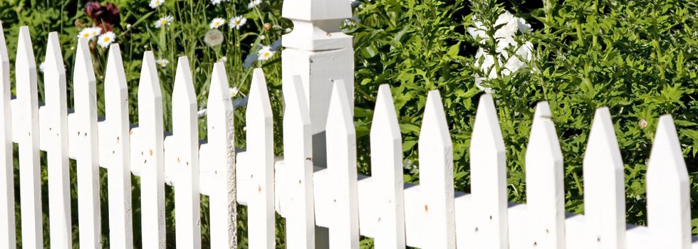 Timber Fence